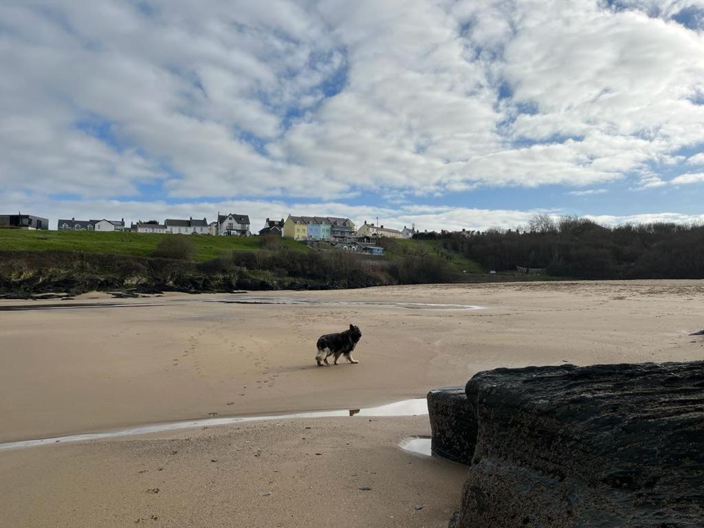 Traeth Rooms Cardigan Exterior photo